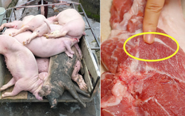 Dịch tả lợn châu Phi đang diễn biến phức tạp, đi chợ thấy thịt có 4 dấu hiệu này dù "rẻ bèo" cũng không mua
