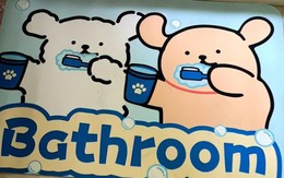 4 vật dụng trong nhà tưởng “vô hại” nhưng đang âm thầm đầu độc sức khỏe, nên bỏ ngay nếu còn dùng