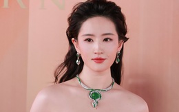 Trò lừa gạt của Lưu Diệc Phi, Triệu Lệ Dĩnh