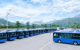 Thêm hơn 440 xe buýt điện sắp lăn bánh tại TPHCM