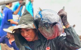 Về biển Đắk Lắk xem ngư dân câu được cá ngừ đại dương 60kg