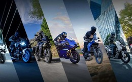 Tại sao mặt trước của lại được thiết kế lớn như vậy?