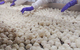 Thái Lan bất ngờ săn lùng một mặt hàng ngon, bổ, rẻ từ Việt Nam: Từ Á đến Âu đều ưa chuộng, thu về hơn 160 triệu USD kể từ đầu năm