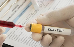 Đọc tin nhắn trên điện thoại của vợ, người đàn ông xét nghiệm ADN với con trai, sững sờ khi cầm kết quả