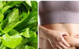 Mách bạn cách ăn rau xanh vào bữa trưa để giảm mỡ bụng