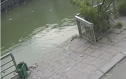 Hà Nội: 2 anh em ruột tử vong thương tâm sau khi rơi xuống giếng nước