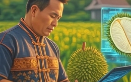 Đây là cách công nghệ cao vào cuộc, đưa Thái Lan thành 'ông hoàng sầu riêng': Nắm 60% thị phần tại Trung Quốc, dự báo bội thu đơn hàng năm 2025