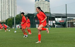 Tuyển Việt Nam bất ngờ đón cầu thủ Việt kiều Hà Lan 19 tuổi