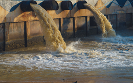 Phát hiện kho báu nghìn tấn trong giếng    