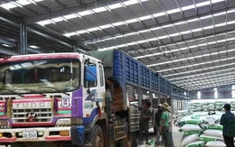 Doanh nghiệp xuất sang Trung Quốc bị từ chối thông quan do sáp nhập tỉnh, huyện, xử lý thế nào?