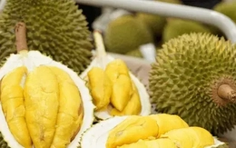 Xuất khẩu sầu riêng lao dốc, nhập từ Thái Lan và Malaysia tăng đột biến