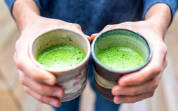 Loại trà chứa nhiều EGCG gấp 137 lần trà xanh, được chuyên gia Ba Lan hết lời khen ngợi: Giúp kéo dài tuổi thọ hiệu quả, rất sẵn ở Việt Nam