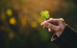 Tử vi 12 con giáp ngày 6/7: Tý, Sửu tài vận may mắn, Mão có khoản thu bất ngờ