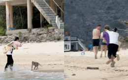 Bị khỉ lăm le chặn đường, cô gái được khách Tây "cứu" khi du lịch trên đảo Cát Bà