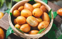 Loại quả dại ở Việt Nam lại là "trái vàng" được săn lùng tại Trung Quốc, từ rễ đến hạt đều "bổ như sâm"