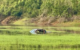 Cặp vợ chồng gặp nạn khi cắm trại ở khu ngập nước: Cảnh báo thú vui mùa hè có thể trở thành thảm kịch!