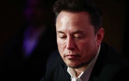 Elon Musk hết giá trị tại Trung Quốc, thị phần Tesla giảm thê thảm, đi vào vết xe đổ của Apple: Thiên tài công nghệ cũng phải chịu thua trước người đặt luật chơi
