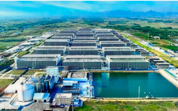 Tỉnh Tây Ninh “gật đầu” cho BAF triển khai “chung cư nuôi heo” đầu tiên Việt Nam: Tạo 100.000 heo/năm chỉ cần 95 nhân công, diện tích đất 6,7ha - tiết kiệm được 10 lần