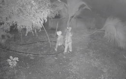 Clip hơn 1 phút ghi lại cảnh 2 thanh niên "đột nhập" nhà dân ở TP HCM trộm tài sản