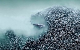 Những hình ảnh tuyệt đẹp từ cuộc thi Nhiếp ảnh gia hàng không quốc tế 2025