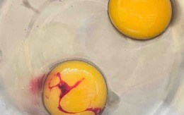 2 loại trứng gà nhiễm khuẩn - gặp là vứt ngay, 3 loại an toàn - cứ yên tâm dùng bữa!