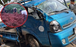 Vụ người dân nhặt vải từ xe tải gặp nạn: Chủ xe được ủng hộ 40 triệu đồng, bị nhiều người gọi điện mắng