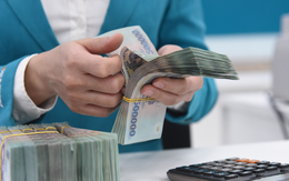 "Tài khoản ngân hàng chính đăng ký thuế nếu có giao dịch sai phạm, tất cả tài khoản liên quan của hộ kinh doanh có thể bị kiểm tra, truy thu"