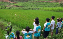 Trại hè bị chê như ‘học kỳ đi đày’, nhiều phụ huynh vội quay xe