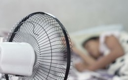 Bật quạt 8 tiếng qua đêm tốn bao nhiêu tiền điện? Người dùng làm thử nghiệm, bất ngờ khi so với điều hòa