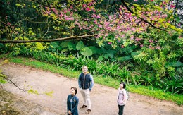 Hướng đi mới cho du lịch Ba Vì