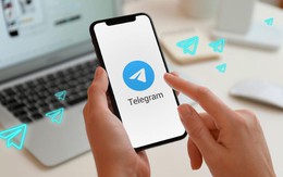 Telegram bất ngờ "sống lại" ở Việt Nam