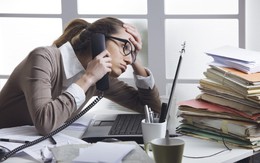 Tử vi 12 con giáp 11/8: Mão, Thìn công việc như diều gặp gió, Thân đề phòng sức khỏe