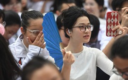 Ngôn ngữ Anh, Ngôn ngữ Trung, Ngôn ngữ Nhật và Ngôn ngữ Hàn, ngành nào dễ xin việc hơn?