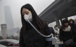 Thế giới đã tung hô Trung Quốc quá lời: Họ không hoàn mỹ đến thế - Sự thật về "Trung Quốc ảm đạm" hé lộ?