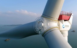 Tuabin gió lớn nhất thế giới của Trung Quốc gây ra hiệu ứng không ngờ, chuyên gia đặt câu hỏi: Công nghệ đỉnh cao phải đánh đổi những gì?