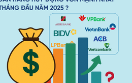 Ngân hàng tư nhân duy nhất hút tiền gửi hơn cả VietinBank và Vietcombank trong nửa đầu năm