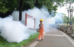 Những điều cần biết về bệnh Chikungunya đang bùng phát tại Trung Quốc