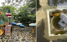 Bé gái tử vong do bị hút vào ống cống dưới bể bơi, không có nhân viên túc trực
