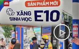 Xăng E10 gây tranh cãi: Thợ sửa xe 30 năm 'mổ xẻ' liệu có hại cho động cơ?