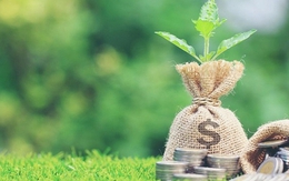 Ngân hàng tăng cường cho vay tín dụng xanh