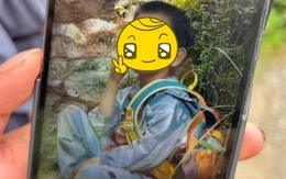 Bé trai 7 tuổi mất tích khi tham gia leo núi ở trại hè, dân mạng cầu nguyện một phép màu