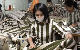 Phạm nhân nghèo không có tiền khắc phục hậu quả vẫn có cơ hội được đặc xá?