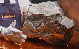 Viên thiên thạch Sao Hỏa bán 5 triệu USD gây tranh cãi ở Niger