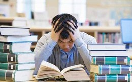 Ngành học từng tốt nghiệp là có việc, kể cả người có trình độ thấp, nay lao đao trước AI, thực tập cũng thành chuyện xa vời