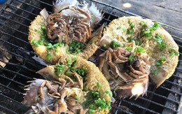 Đặc sản đắt hơn tôm, ghẹ, thuộc dạng quý hiếm ở Quảng Ninh: Bộ phận nào cũng nấu được, vị “kén người ăn”