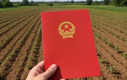 Một người dân ở quận 7 (cũ) chuyển 400m2 đất lên thổ cư hết 14 tỉ đồng