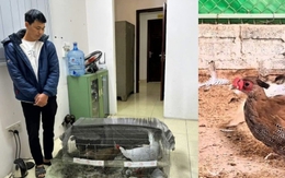 Giật mình sợ hãi trước những loài động vật được chế biến ăn uống hàng ngày trong danh sách bảo tồn đặc biệt