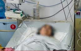 Ngừng tim, suy đa tạng vì nhiễm trùng từ vết ong đốt