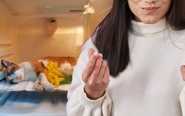 Chủ sở hữu thú cưng chi hơn 11 triệu đồng cho nhà ngoại cảm để giao tiếp với “pet” đã chết gây tranh cãi!