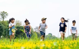 Điều chỉnh mức sinh phù hợp với các vùng, đối tượng để đảm bảo mức sinh thay thế